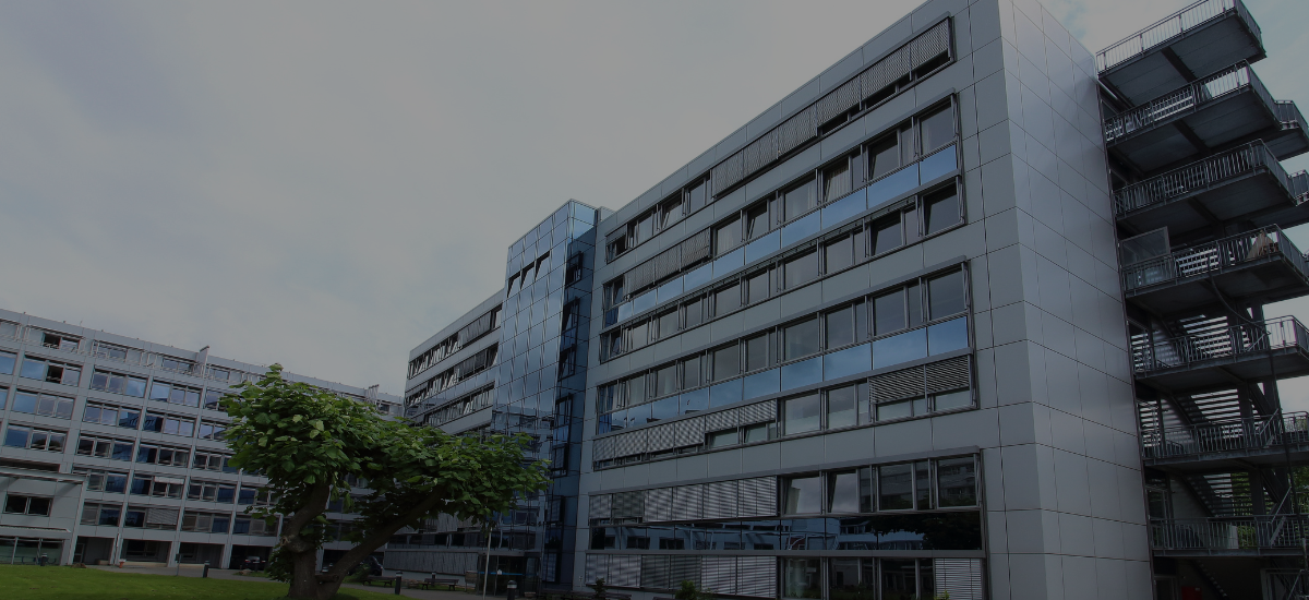Building Value Through Expertise
